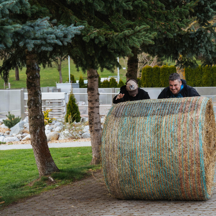 Easter stay in Villa Betula Resort