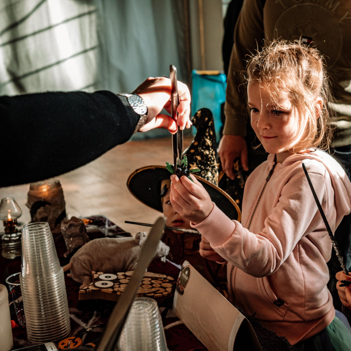 Wizarding University 