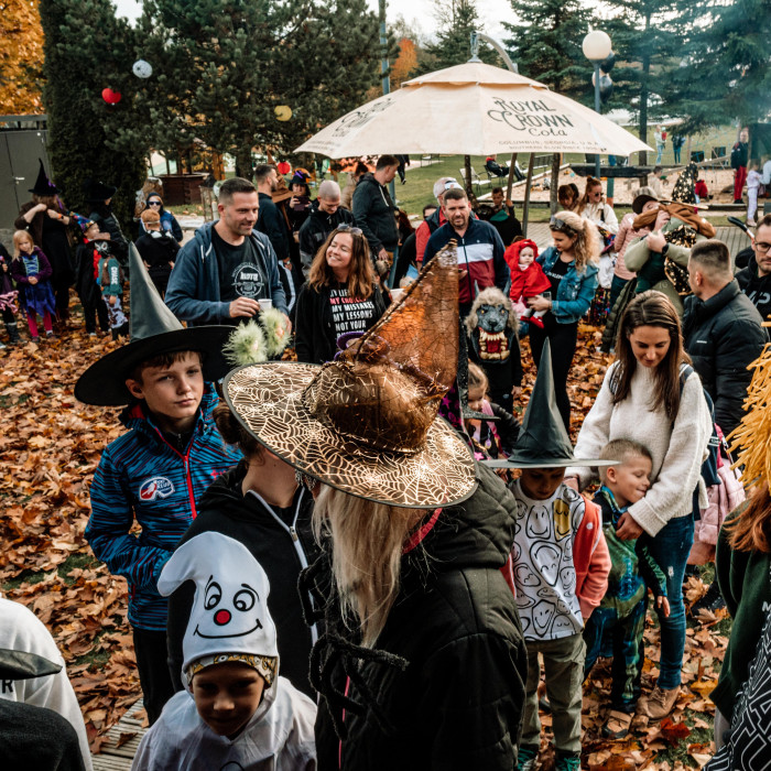 Wizarding University 