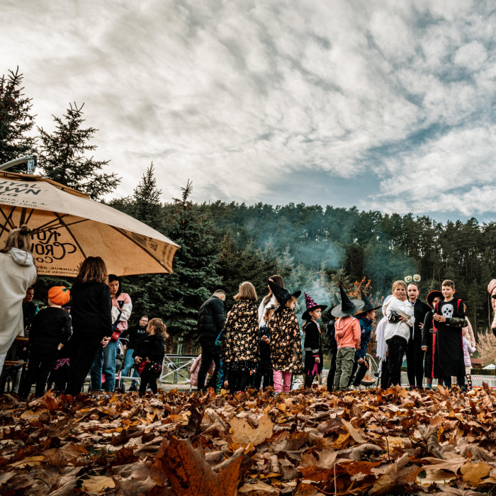 Wizarding University 