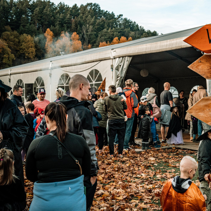 Wizarding University 