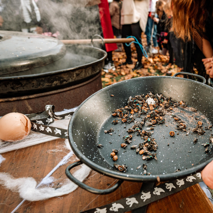 Wizarding University 