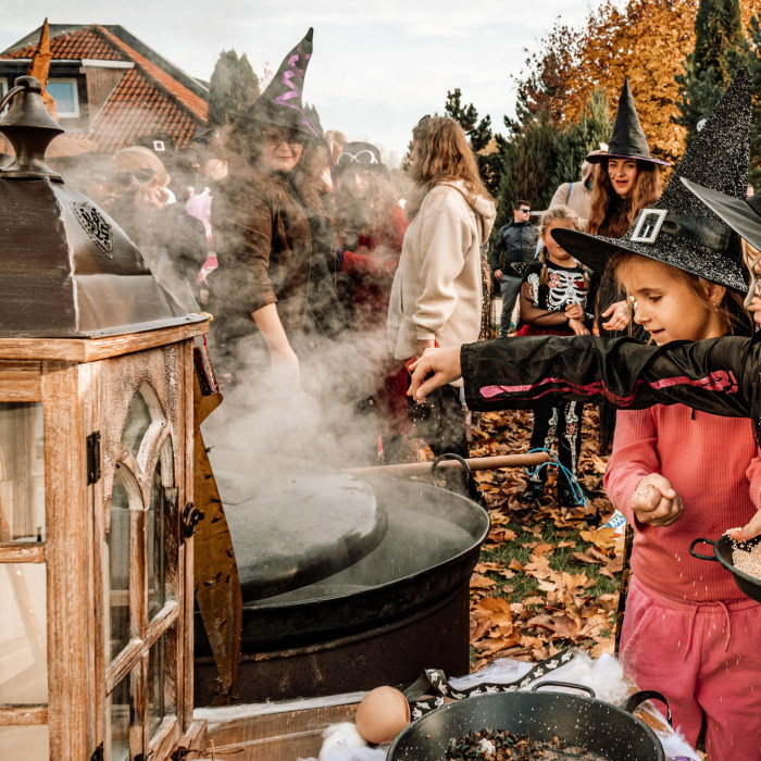 Wizarding University 