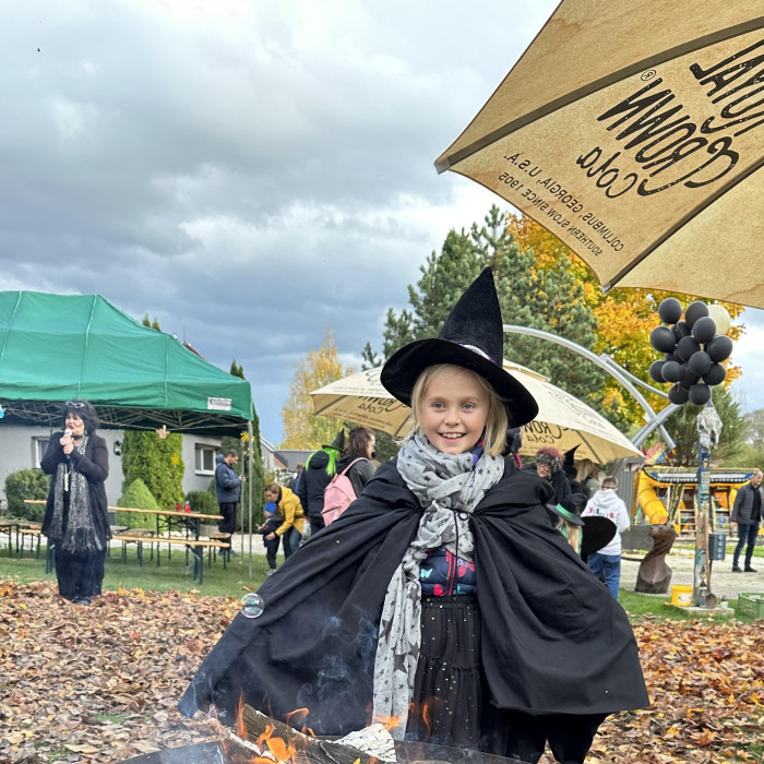 Wizarding University 