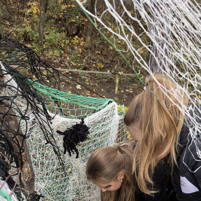 Wizarding University 