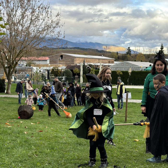 Wizarding University 