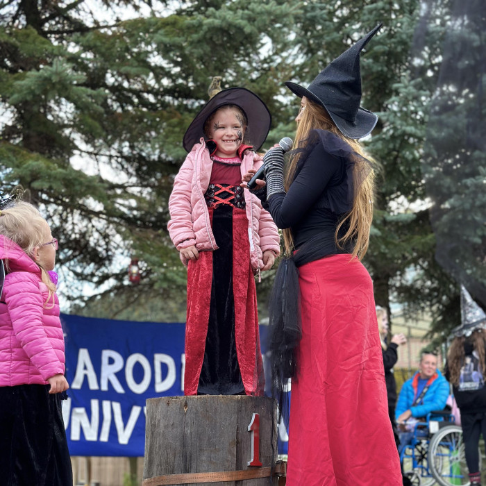 Wizarding University 