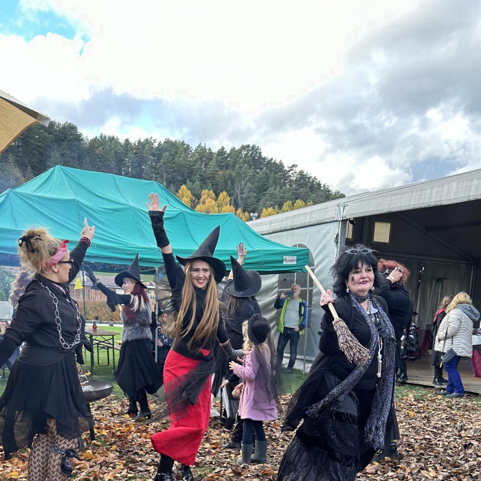 Wizarding University 