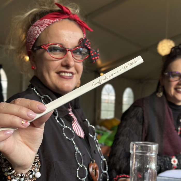 Wizarding University 