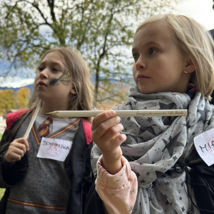 Wizarding University 