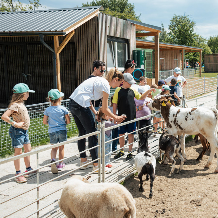 Babyland - outdoor playground