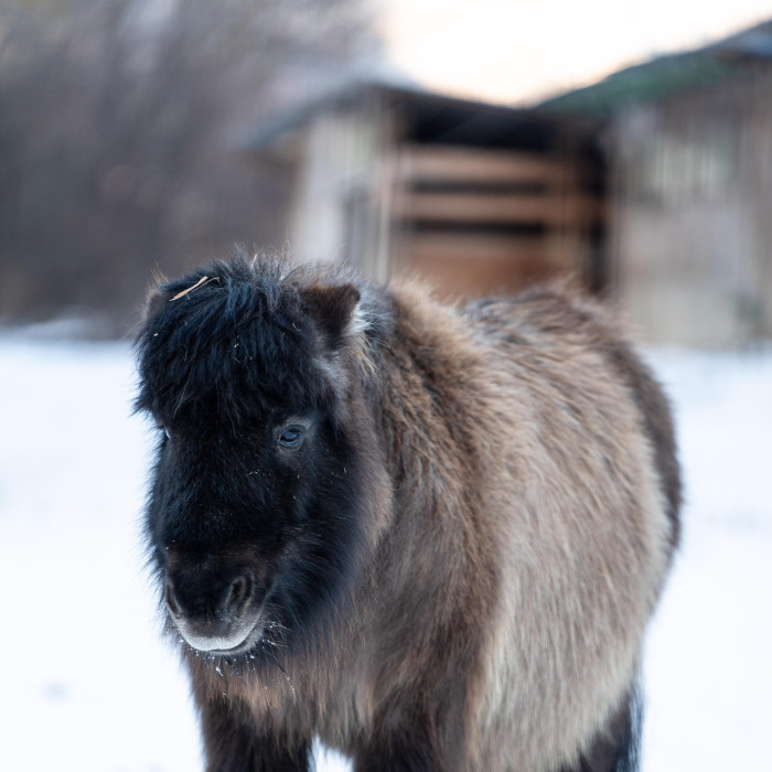 Silvestrovský pobyt 